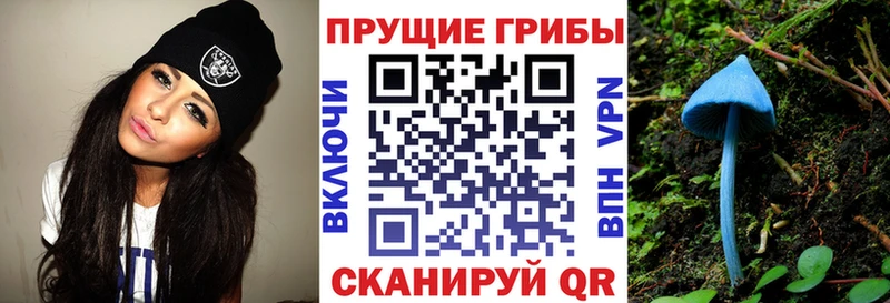 Купить закладки  Болотное  Псилоцибиновые грибы Magic Shrooms 